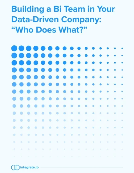 BI Professions in the Age of "Data-Driven Companies"